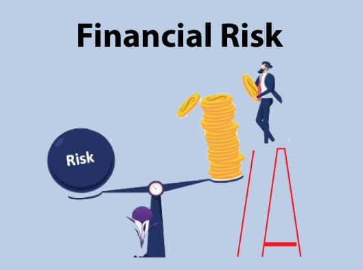 Financial Risk Management - Javatpoint